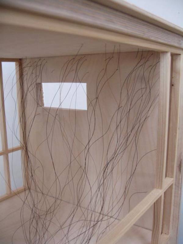 Frank Halmans | Buildings that grow on you, 2013
