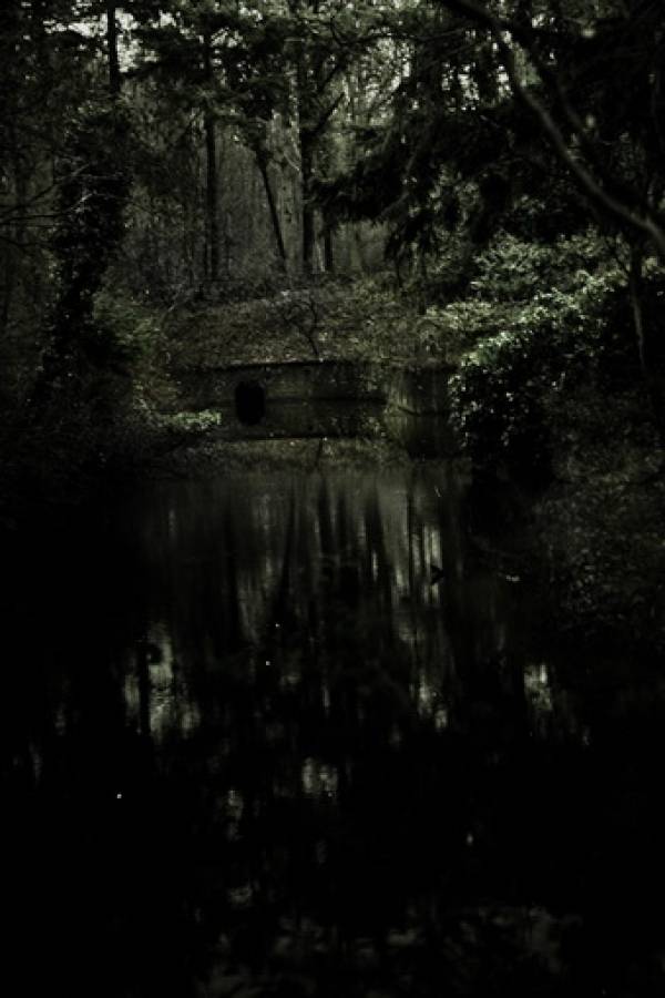 The State of L3 | LEROY SANKES, The Reserved ones,  Instilled nature, 2010
