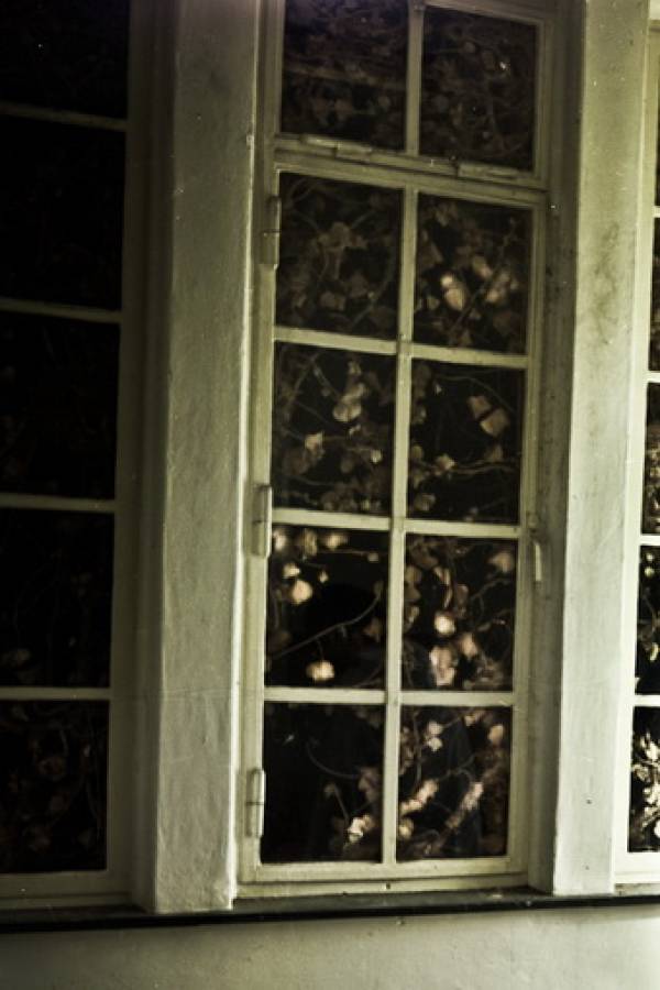 The State of L3 | LEROY SANKES, The Reserved ones, Leaves, 2010