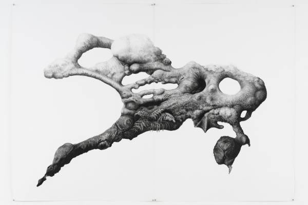 Sabina Timmermans