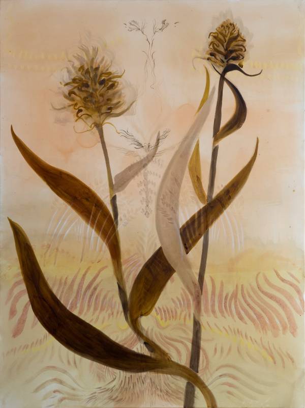 sophie steengracht  | untitled 2026