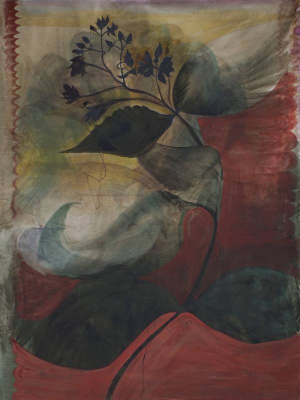 sophie steengracht  | My memories form a forest with unstable boundaries