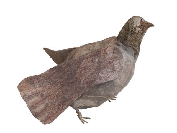 Eva Spierenburg | Vogel met voetvleugels, 2014
