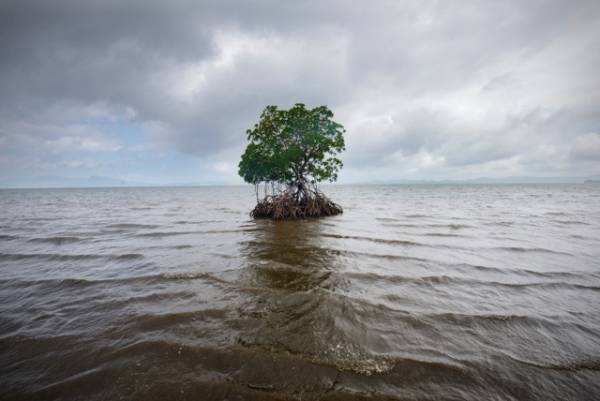 Kadir van Lohuizen | Climate change / sea-level rise in Fiji, 2012